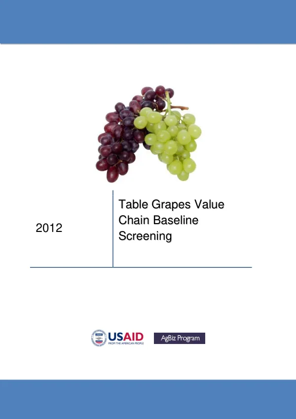 Table Grapes Value Chain Baseline Screening