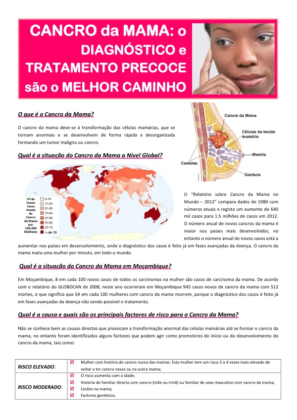 Dimensão da Situação a Nível Mundial: Cancro da Mama