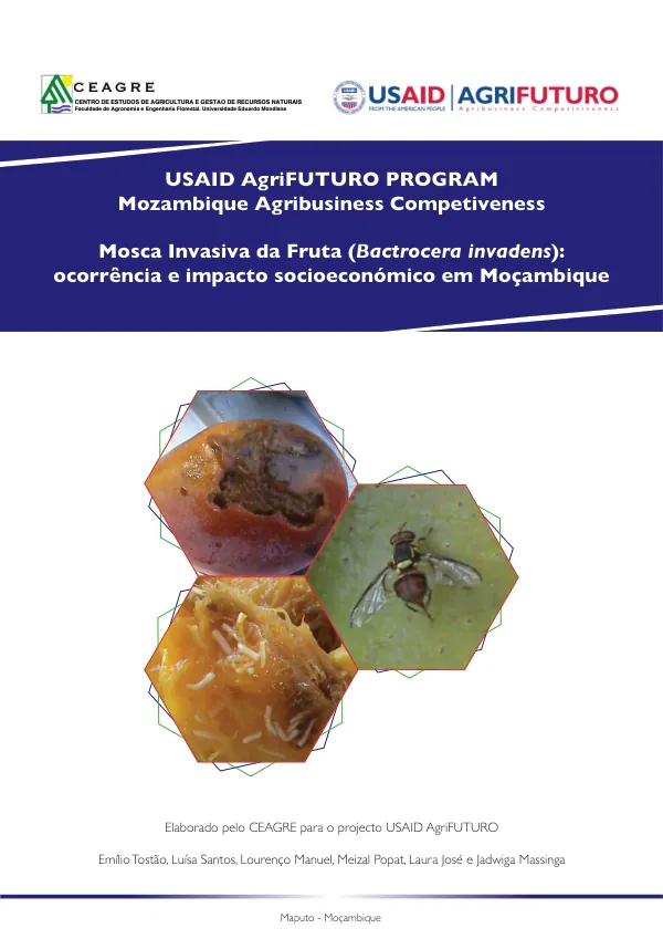 Mosca Invasiva da Fruta (Bactrocera invadens): ocorrência e impacto socioeconómico em Moçambique