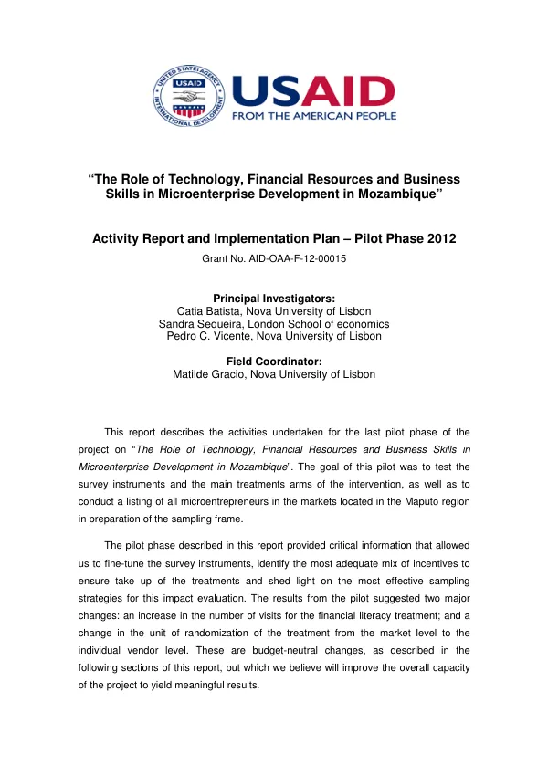 The Role of Technology, Financial Resources and Business Skills in Microenterprise Development in Mozambique
