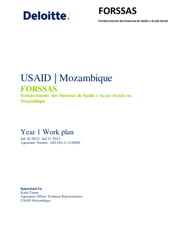 USAID | Mozambique FORSSAS Year 1 Workplan