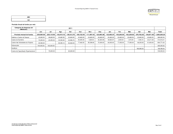 Strengthening Leading Mozambican NGOs and Networks II: Financial Reporting GMW II: Financial Forms