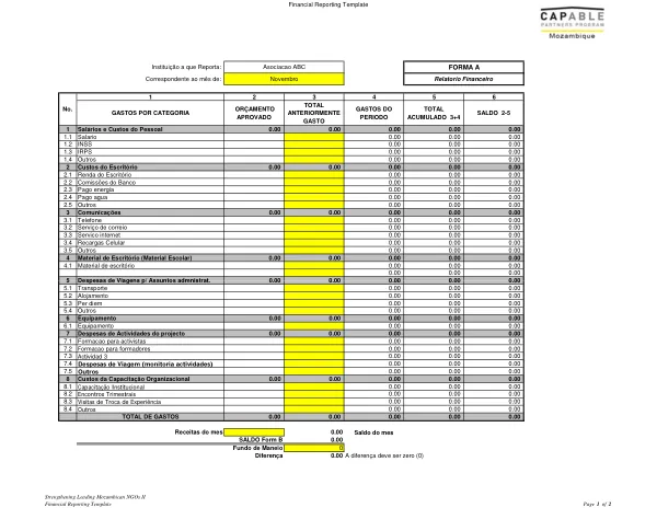 Financial Reporting Template for Strengthening Leading Mozambican NGOs II