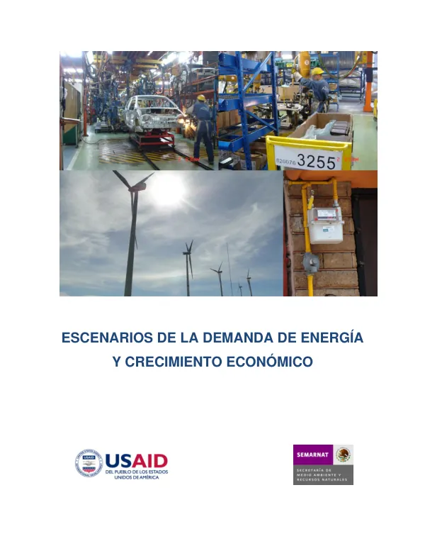 Competitiveness Program: Scenarios of Energy Demand and Economic Growth
