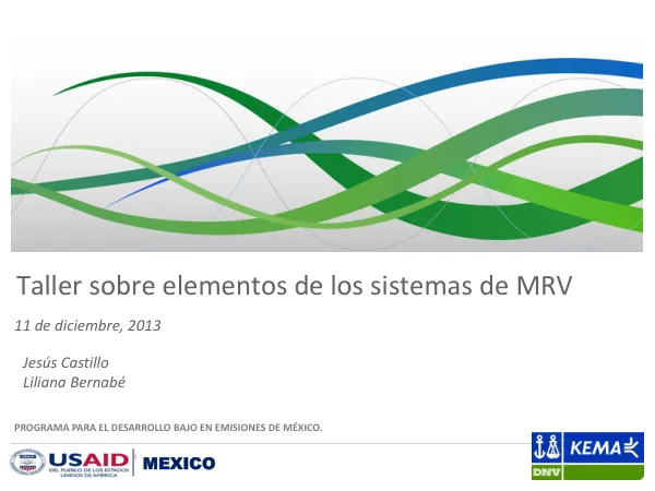 Climate Policy and New Carbon Market Mechanisms Advisory Services