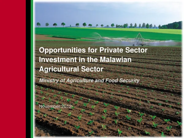 Opportunities for Private Sector Investment in the Malawian Agricultural Sector