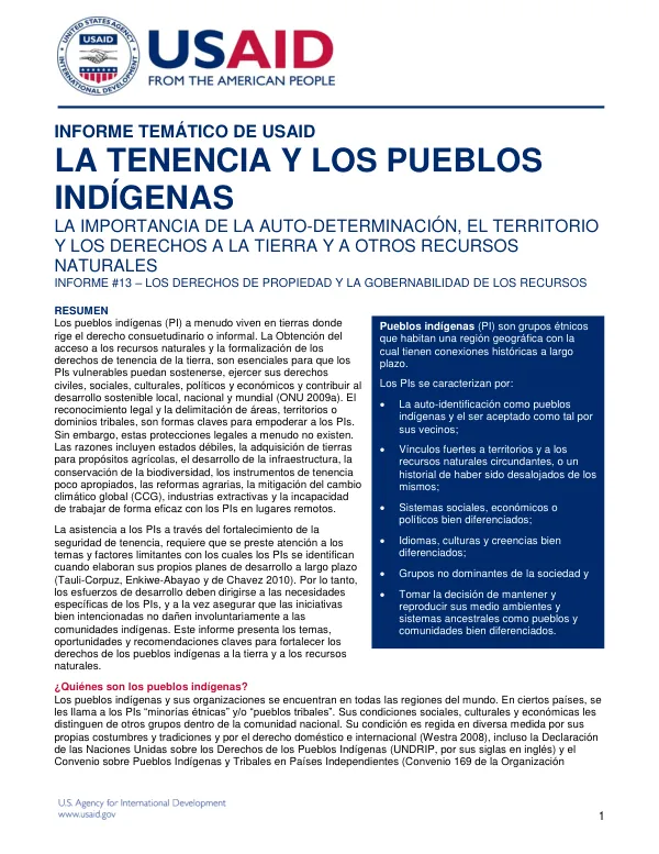Informe Temático de USAID: La Tenencia y los Pueblos Indígenas