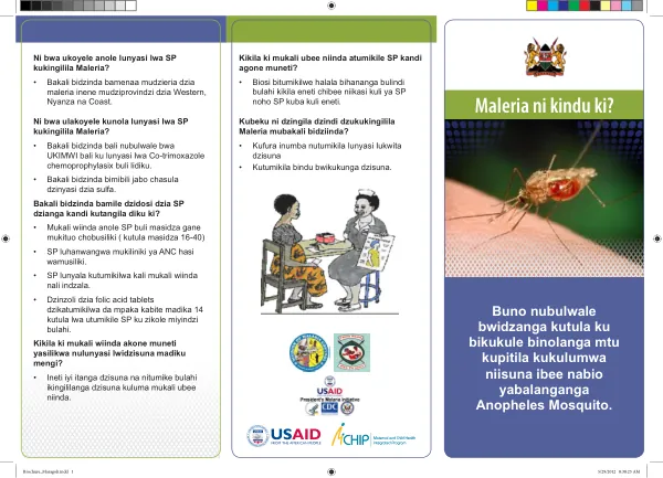 Malaria Prevention and Control in Maragoli