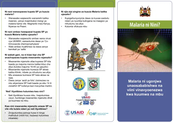 Malaria katika Ujauzito: Nini, Dalili, na Jinsi ya Kuzuia