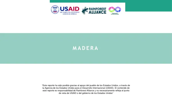 Industria de la Madera– Visión Global