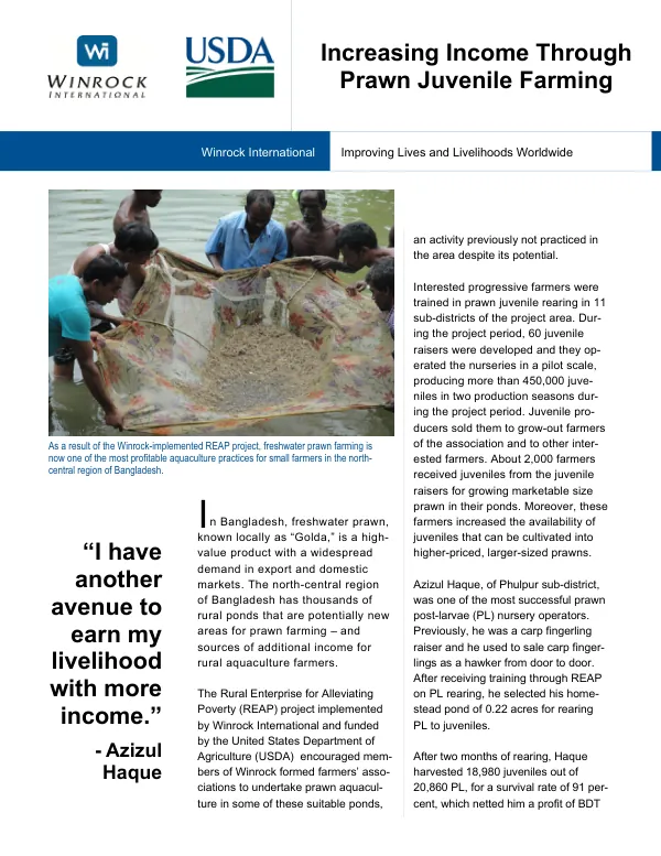 Increasing Income Through Prawn Juvenile Farming