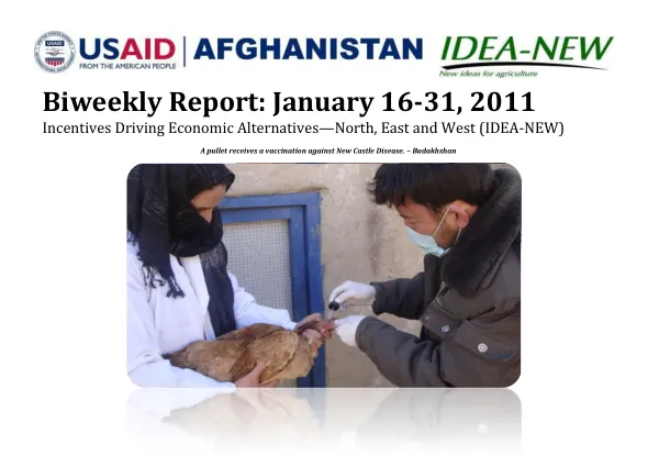 Biweekly Report: January 16-31, 2011 Incentives Driving Economic Alternatives—North, East and West (IDEA-NEW)