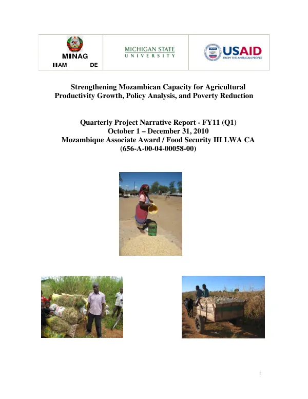 Strengthening Mozambican Capacity for Agricultural Productivity Growth, Policy Analysis, and Poverty Reduction