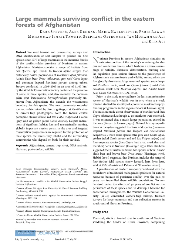 Large mammals surviving conﬂict in the eastern forests of Afghanistan