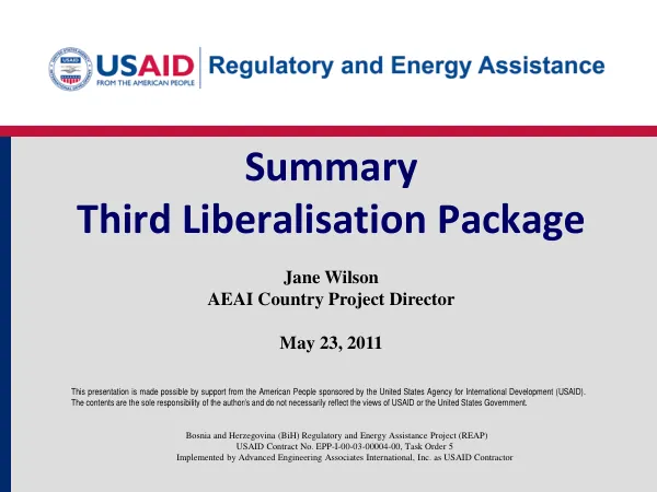 Third Liberalisation Package for Bosnia and Herzegovina (BiH) Regulatory and Energy Assistance Project (REAP)