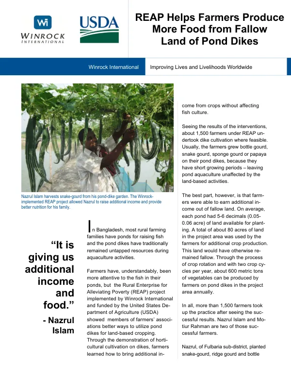REAP Helps Farmers Produce More Food from Fallow Land of Pond Dikes