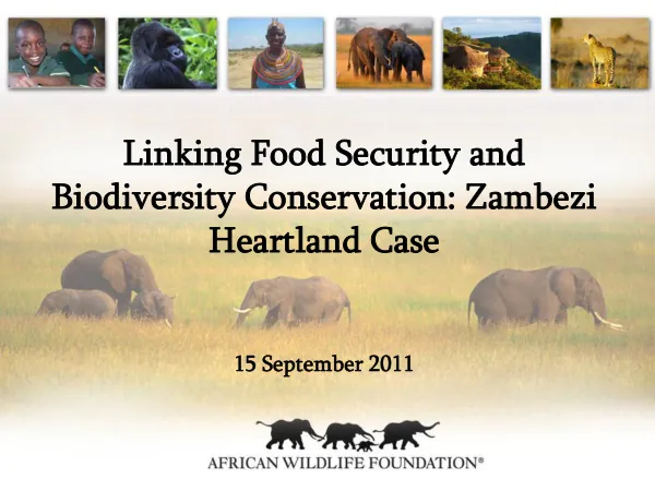 Linking Food Security and Biodiversity Conservation: Zambezi Heartland Case