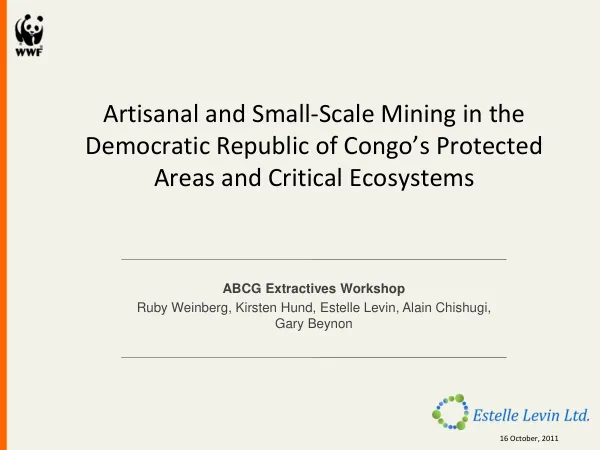 Artisanal and Small-Scale Mining in the Democratic Republic of Congo’s Protected Areas and Critical Ecosystems