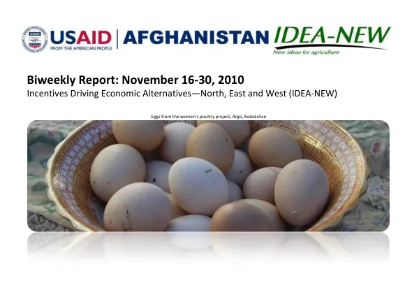 Biweekly Report: November 16-30, 2010 Incentives Driving Economic Alternatives—North, East and West (IDEA-NEW)