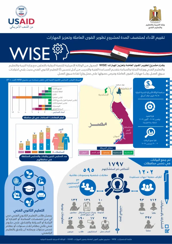 Egypt WISE Arabic Infographic