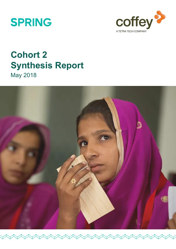 SPRING Cohort 2 Synthesis Report