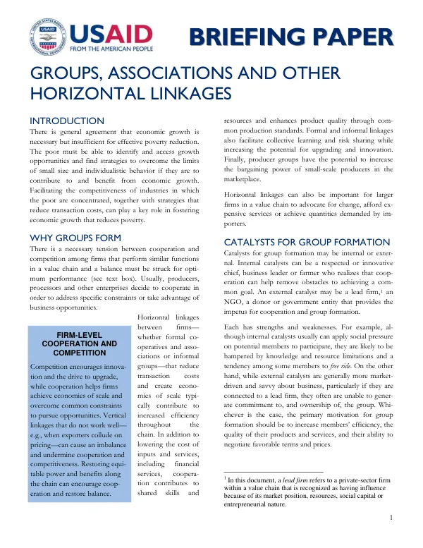 Firm-Level Cooperation and Competition: Horizontal Linkages for Economic Growth
