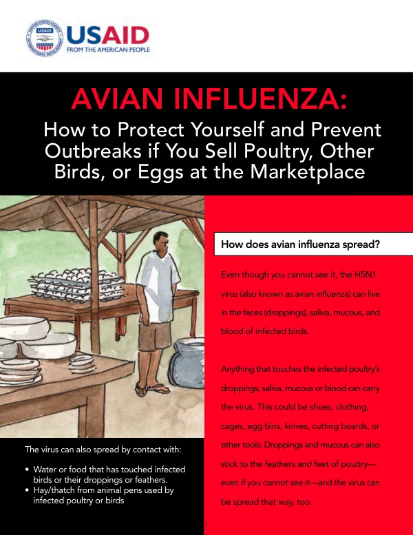 Avian Influenza: How to Protect Yourself and Prevent Outbreaks if You Sell Poultry, Other Birds, or Eggs at the Marketplace