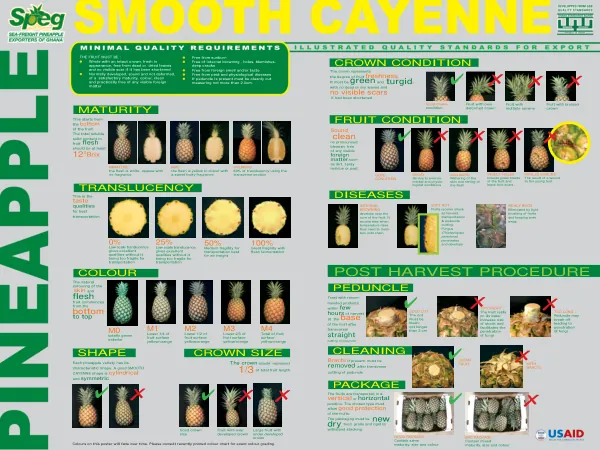Pineapple Grading Standards