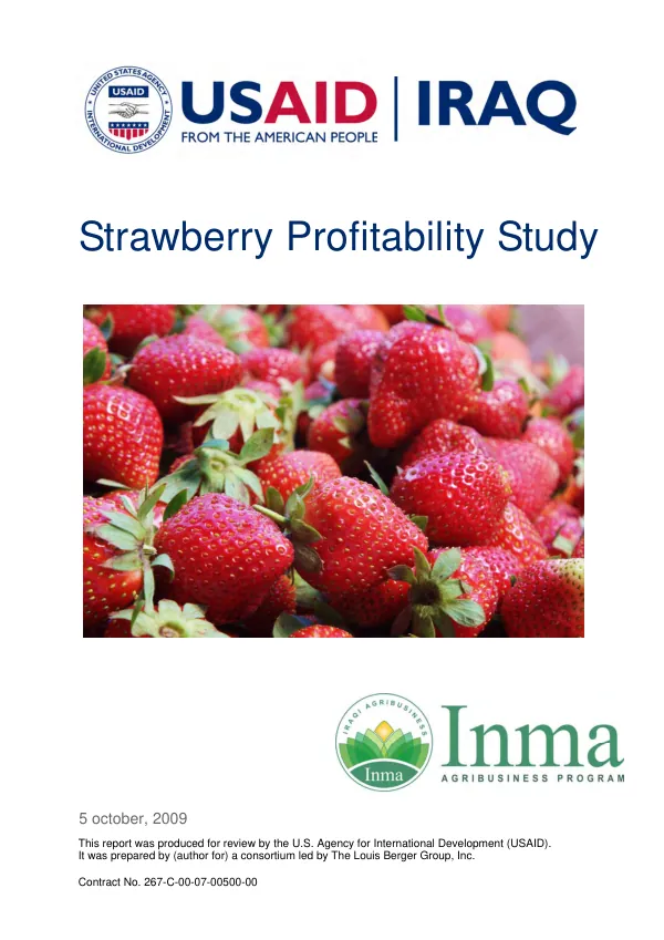 Strawberry Profitability Study