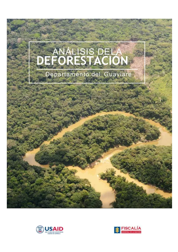 Análisis de la deforestación en el Departamento del Guaviare a partir de fuentes de información abiertas