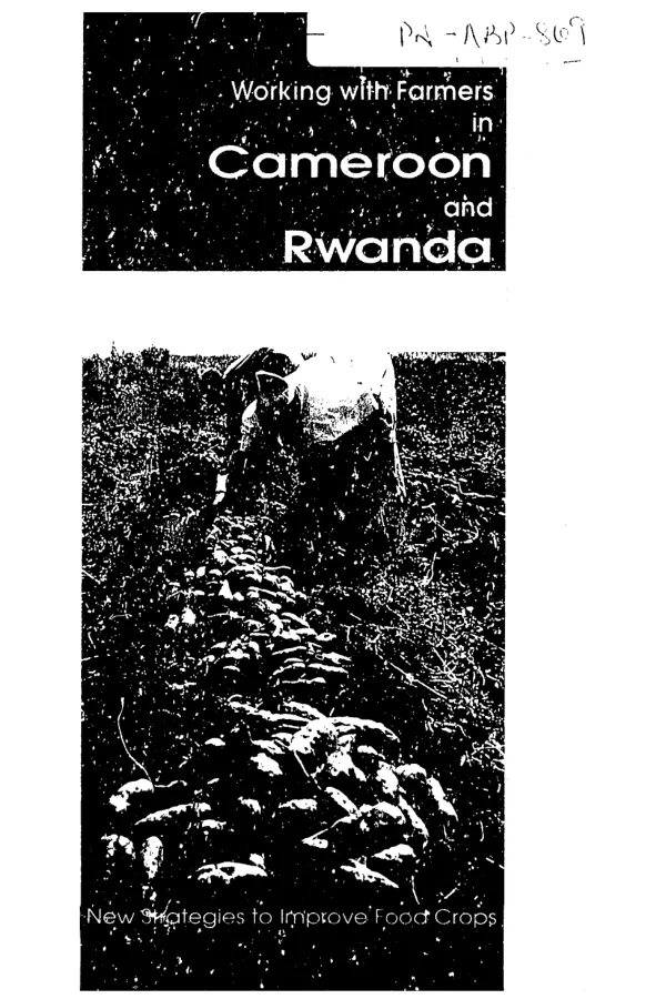 Working with farmers in Cameroon and Rwanda : new strategies to improve staple food crops
