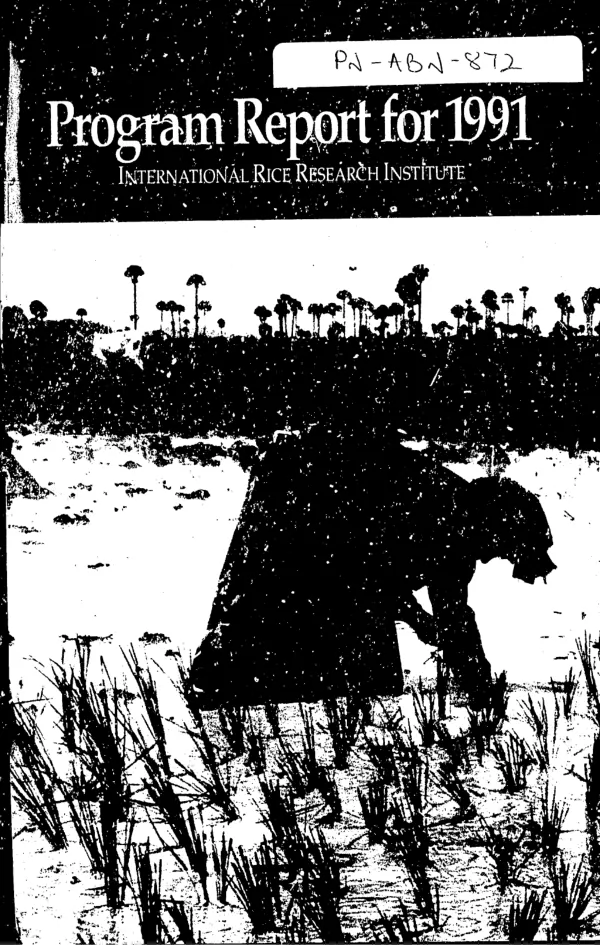 Program report for 1991 -- International Rice Research Institute