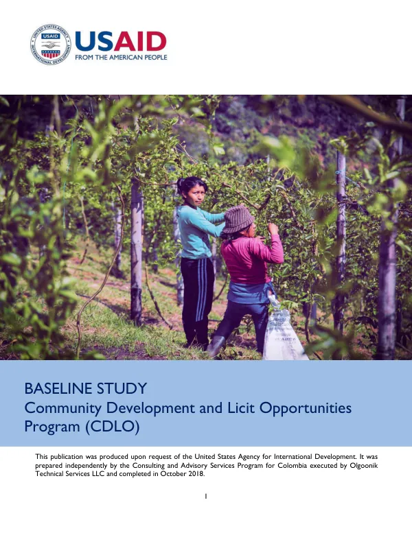 Baseline study : community development and licit opportunities program (CDLO)