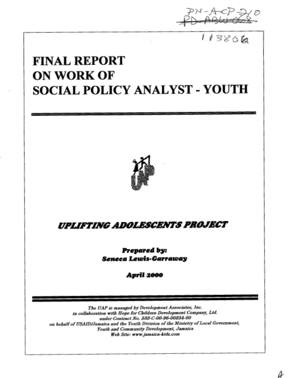 Final report on work of social policy analyst -- youth