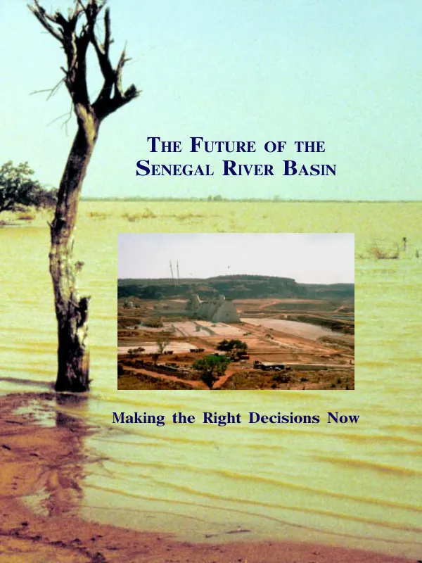 USAID-Eastern and Southern African Management Institute (ESAMI) : computer strategy report