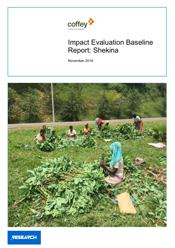Impact evaluation baseline report : Shekina [SPRING]