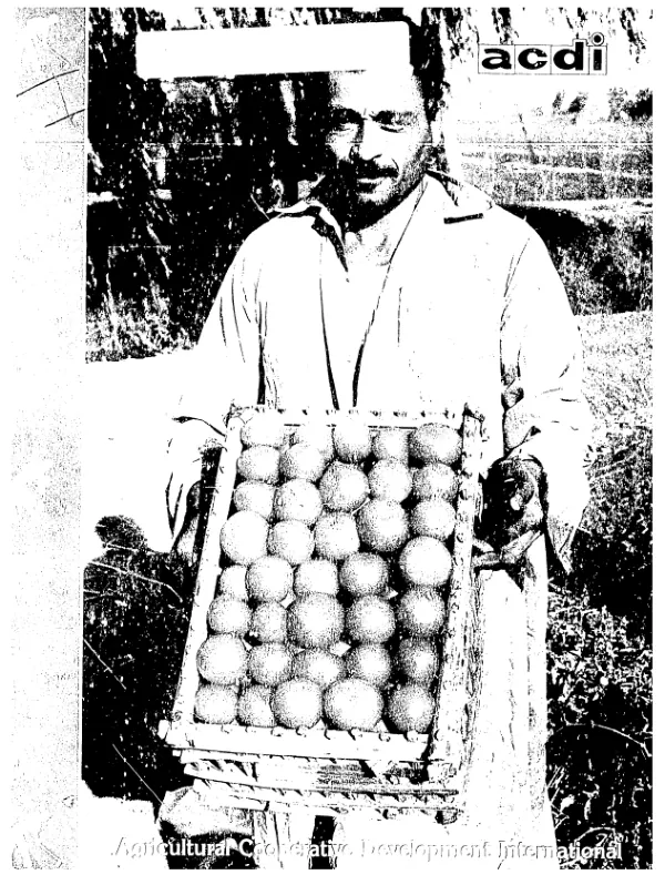 Developing farmer cooperatives and farm credit systems overseas : 1983 annual report, Agricultural Cooperative Development International