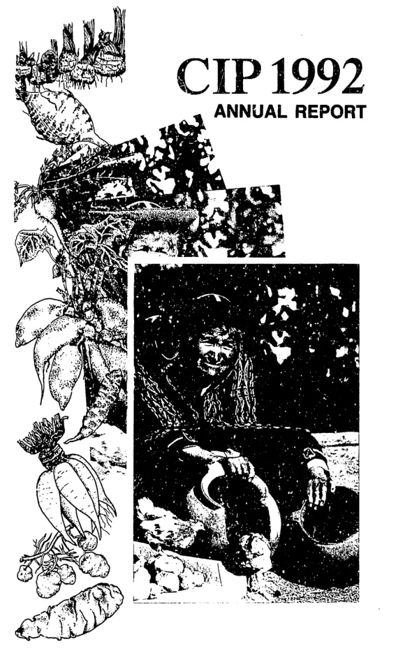 International Potato Center annual report 1992