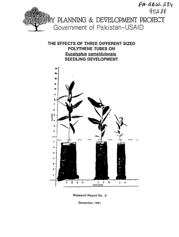 Effects of three different sized polythene tubes on Eucalyptus camaldulensis seedling development