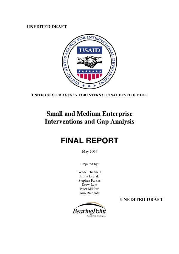 Small and medium enterprise interventions and gap analysis : final report