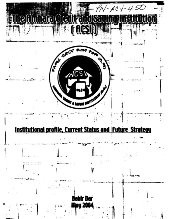 Amhara Credit and Saving Institution (ACSI) : institutional profile, current status and future strategy