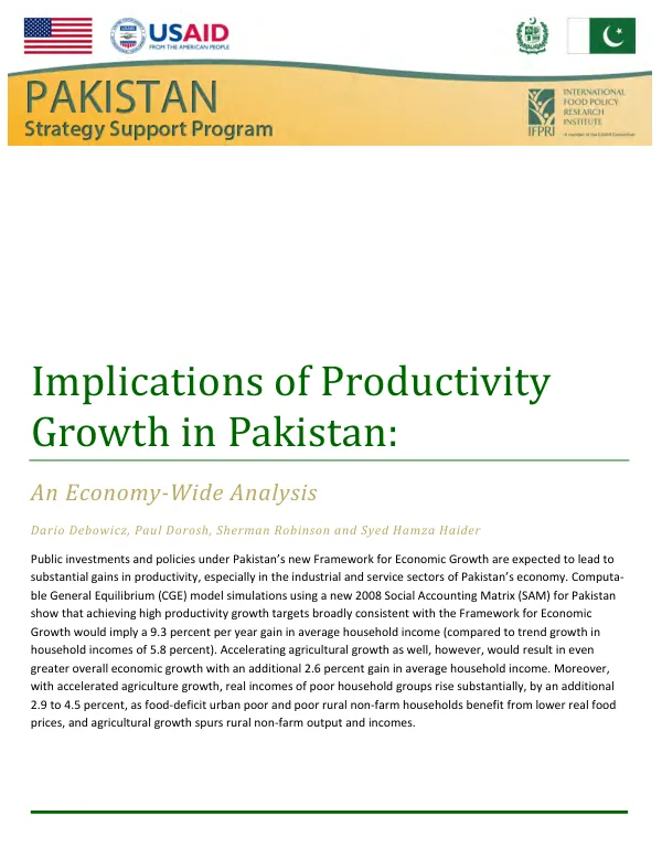 Implications of productivity growth in Pakistan : an economy-wide analysis