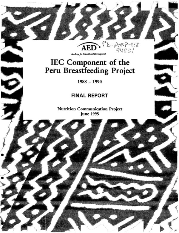 IEC [information, education and communication] component of the Peru breastfeeding project, 1988-1990 : final report