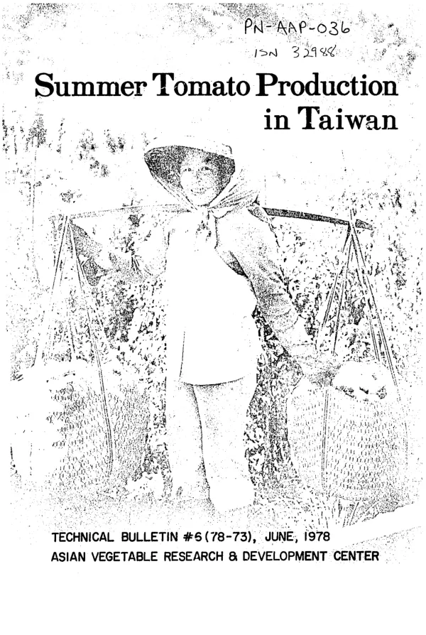 Summer tomato production in Taiwan