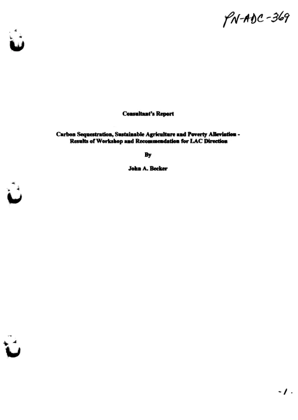 Consultants"s report : carbon sequestration, sustainable agriculture and poverty alleviation -- results of workshop and recommendations for LAC direction