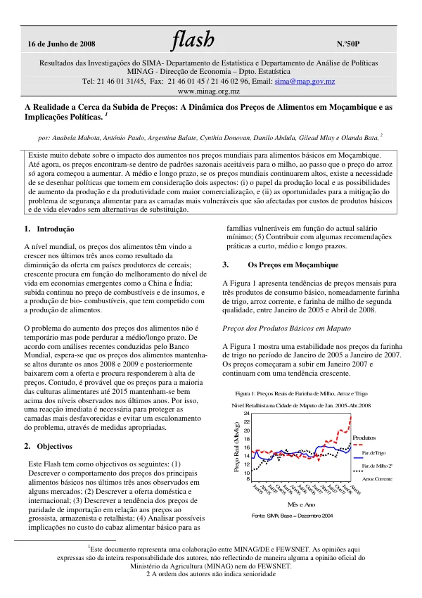 A realidade a cerca de subida de precos : a dinamica dos precos de alimentos em Mocambique e as implicacoes politicas