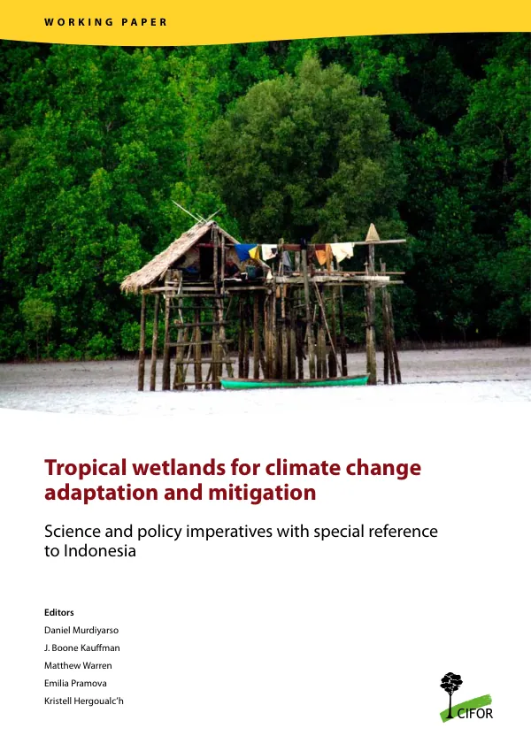 Tropical wetlands for climate change adaptation and mitigation : science and policy imperatives with special reference to Indonesia