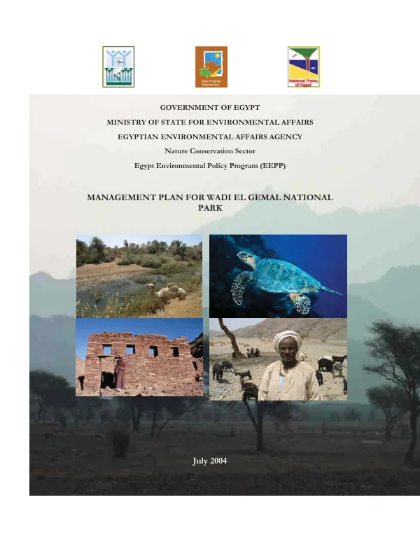 Municipal development and management project, phase II : contract no. PCE-1008-C-00-5001-00 -- work plan