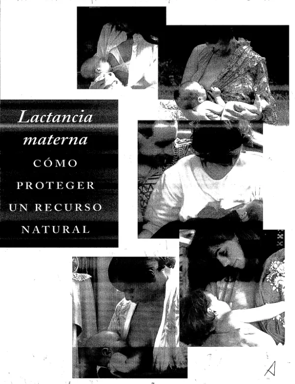 Lactancia materna : como proteger un recurso natural
