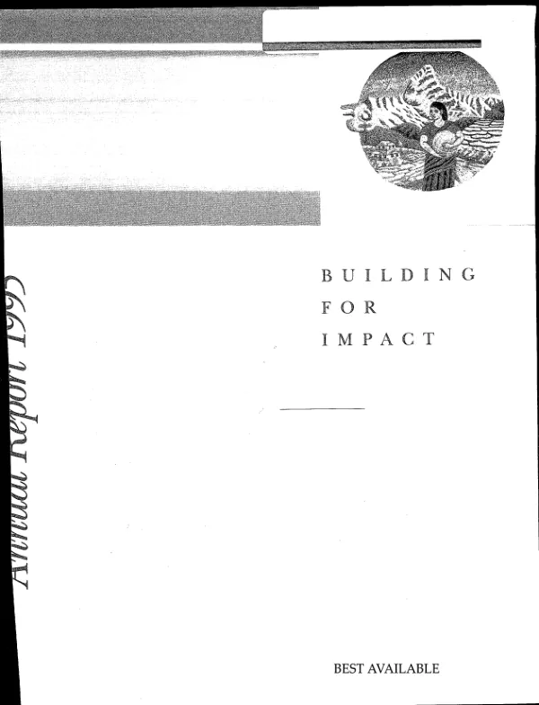 Building for impact : the Centre for Development and Population Activities -- annual report 1995